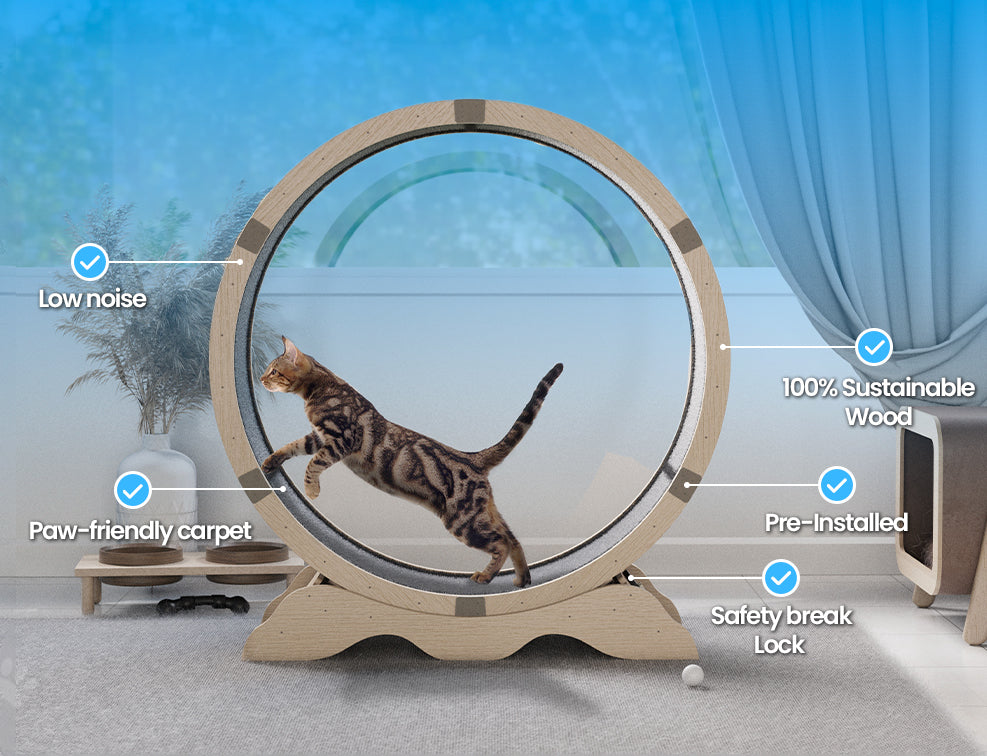 all the features and benefits of the athlecat cat exercise wheel