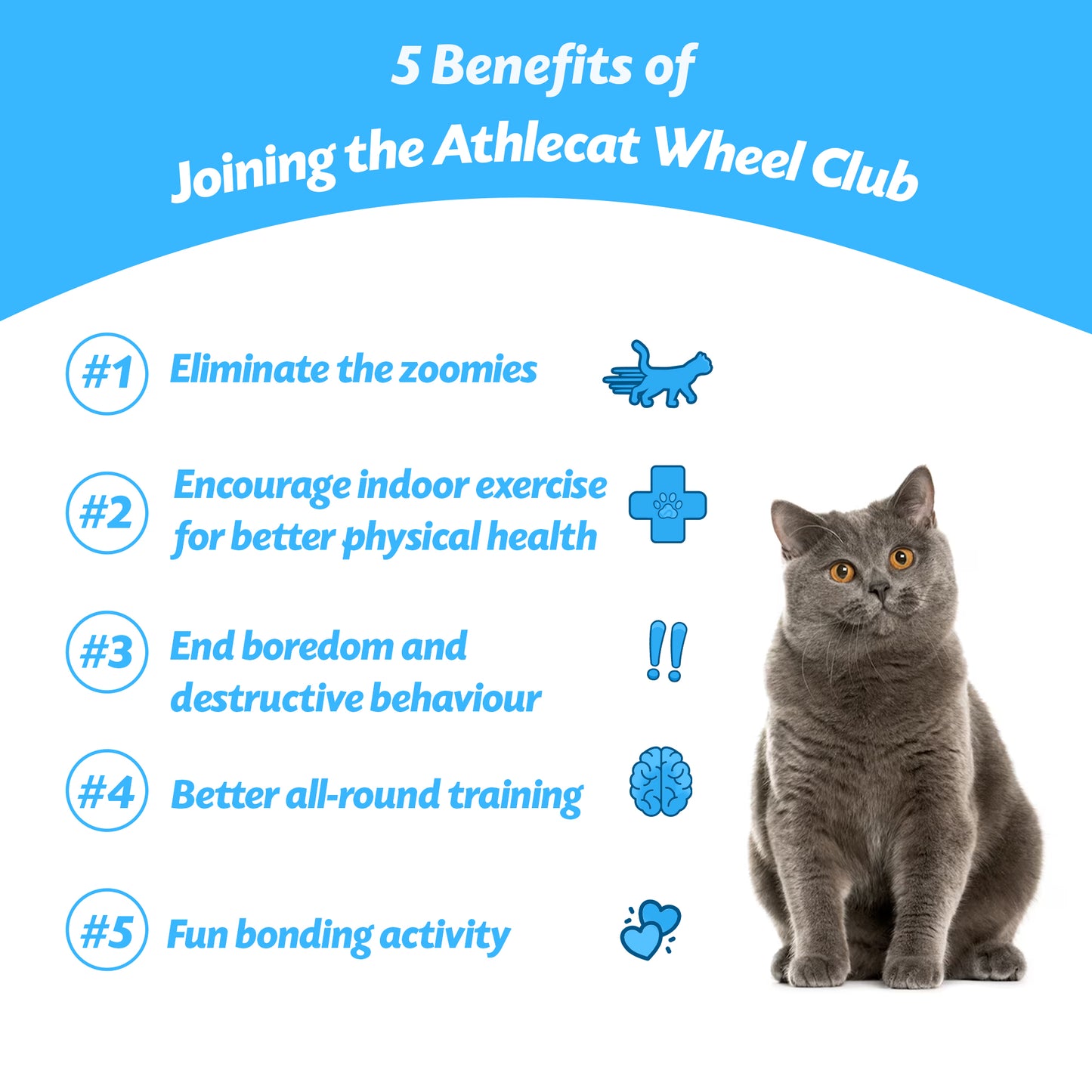 Comparison Table Descrbing the benefits of a cat wheel