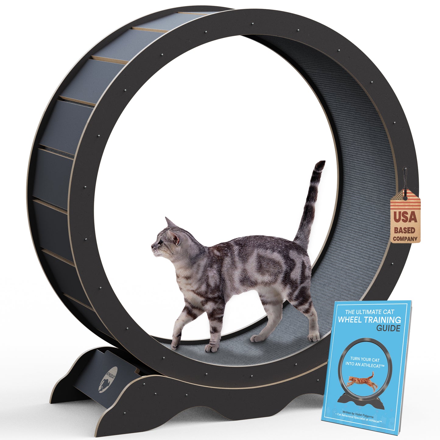 Cat exercise wheel made of black with training guide 