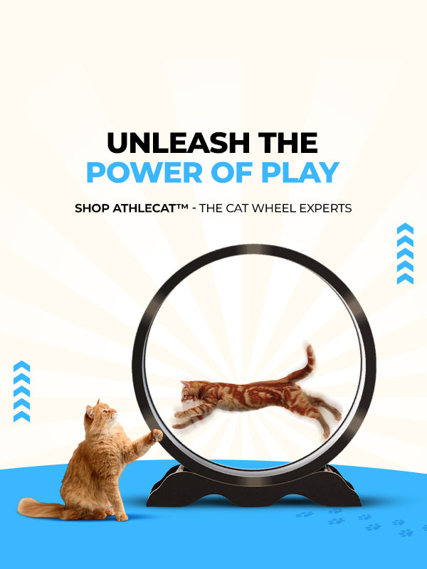 Athlecat Cat Exercise Wheel landing banner mobile
